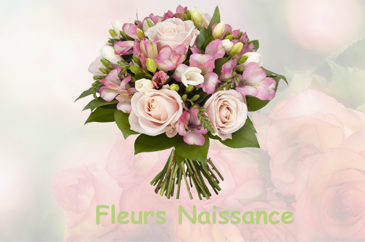 fleurs naissance SAINT-CLEMENT-DE-VALORGUE